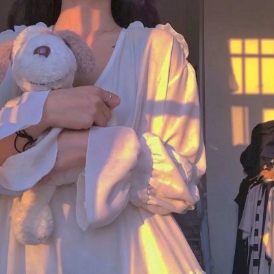 乌龙女校2：费童家族的宝藏